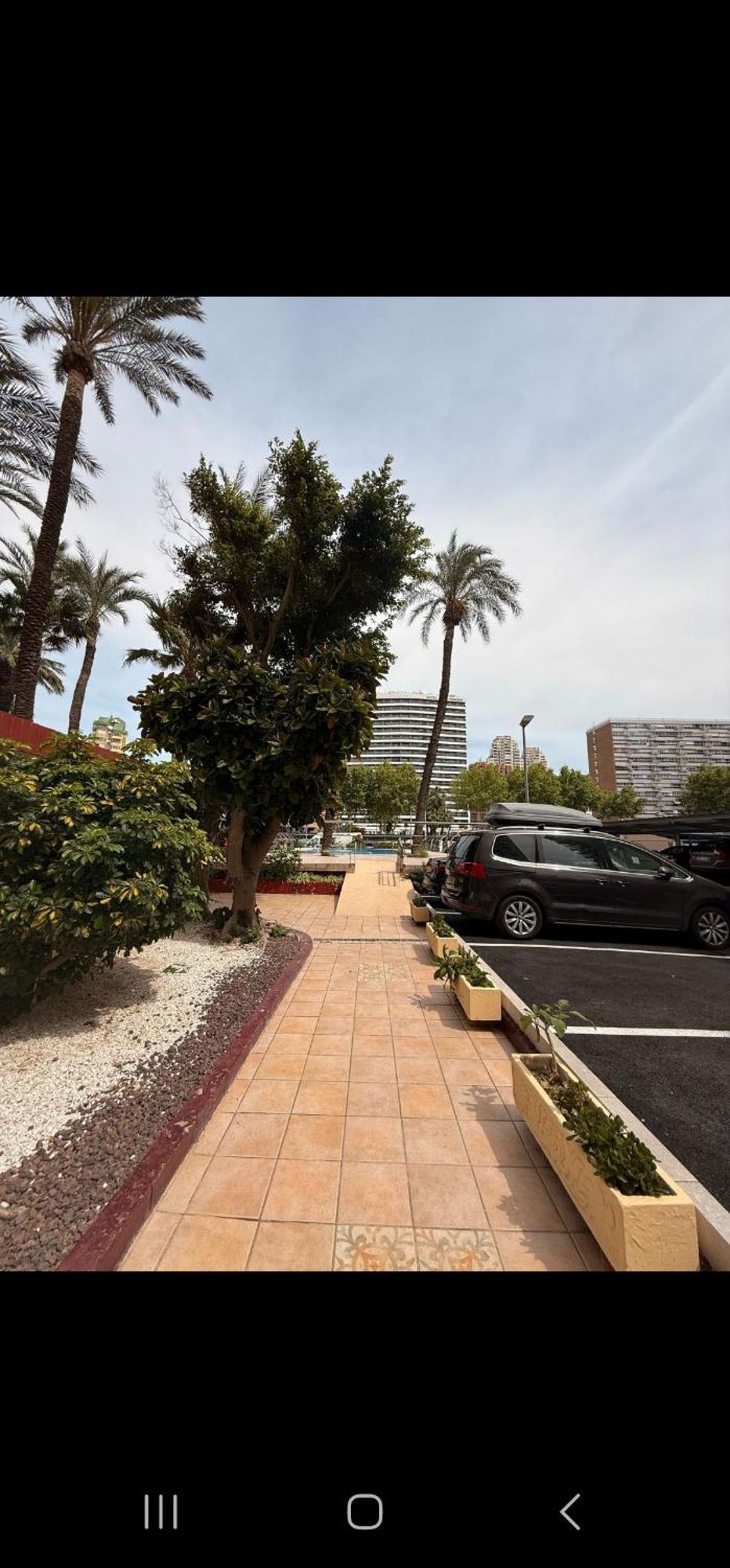 Las Damas Piso18 Benidorm Exterior photo